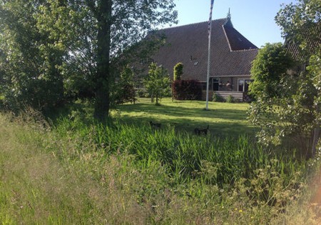 Bed and Breakfast "Lutje Lollum" in Franeker