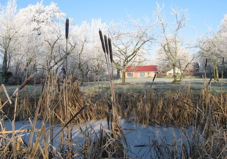 B&B "Aan het Wilgepad" in Boerakker